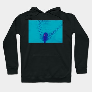 Stylized black swan with characteristic red and white beak makes blue fan shaped ripples swimming towards lake edge . Hoodie